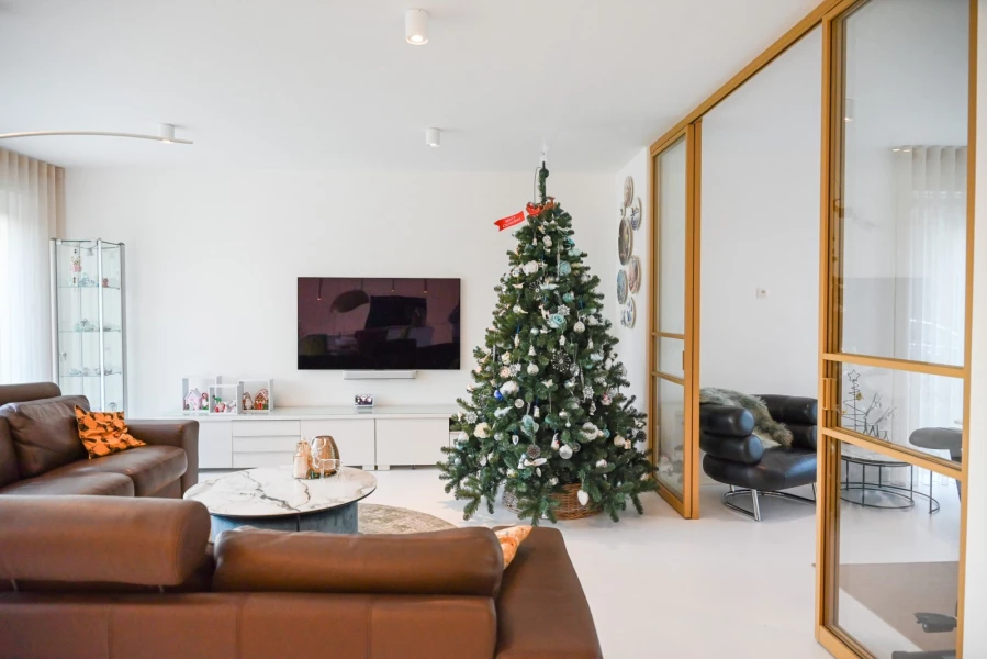 moderne-woning-gierle